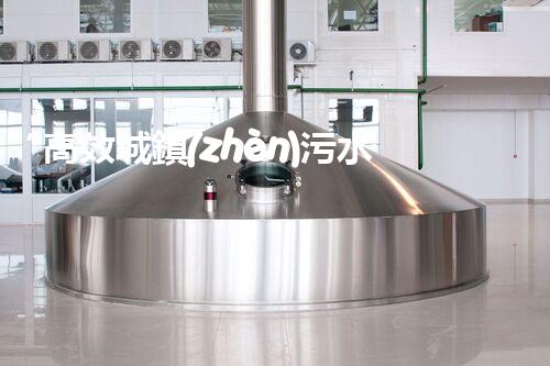“高效城鎮(zhèn)污水處理流程，守護碧水藍天新篇章”